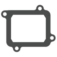 Guarnizione valvola lamellare - V-FORCE Valvola lamellare - MOTO TASSINARI