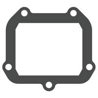 Guarnizione valvola lamellare - V-FORCE Valvola lamellare - MOTO TASSINARI