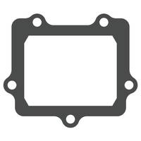 Guarnizione valvola lamellare - V-FORCE Valvola lamellare - MOTO TASSINARI