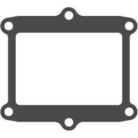 Guarnizione valvola lamellare V4R (2 pezzi) - V-FORCE Valvola lamellare - MOTO TASSINARI