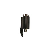 Coils - Ignition Coils - RICAMBI - SPARE PARTS