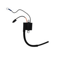 Bobine esterne - Bobine Accensione - RICAMBI - SPARE PARTS